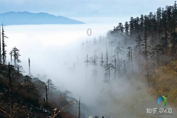 手动挡汽车踩掉离合器滑行好不好？游戏画面