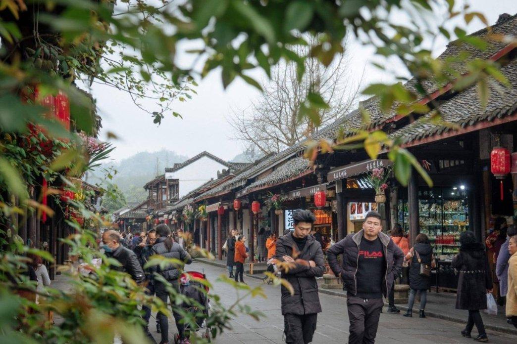 动物帮帮忙保卫家园