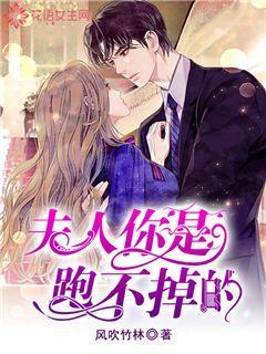贝儿公主的晚礼服
